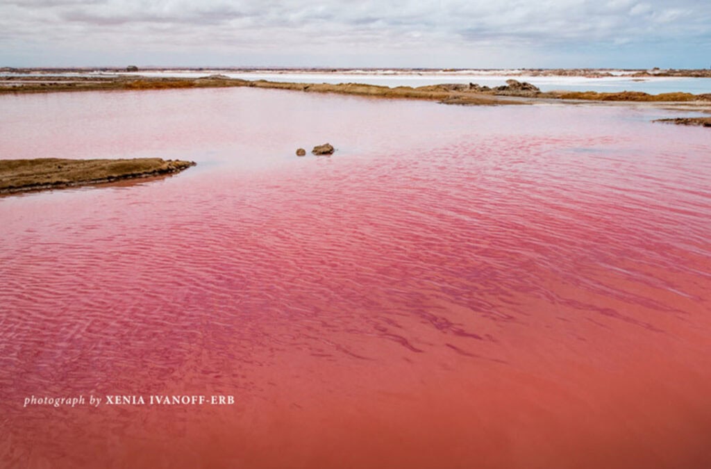 walvis-bay-salt-pans-namibia