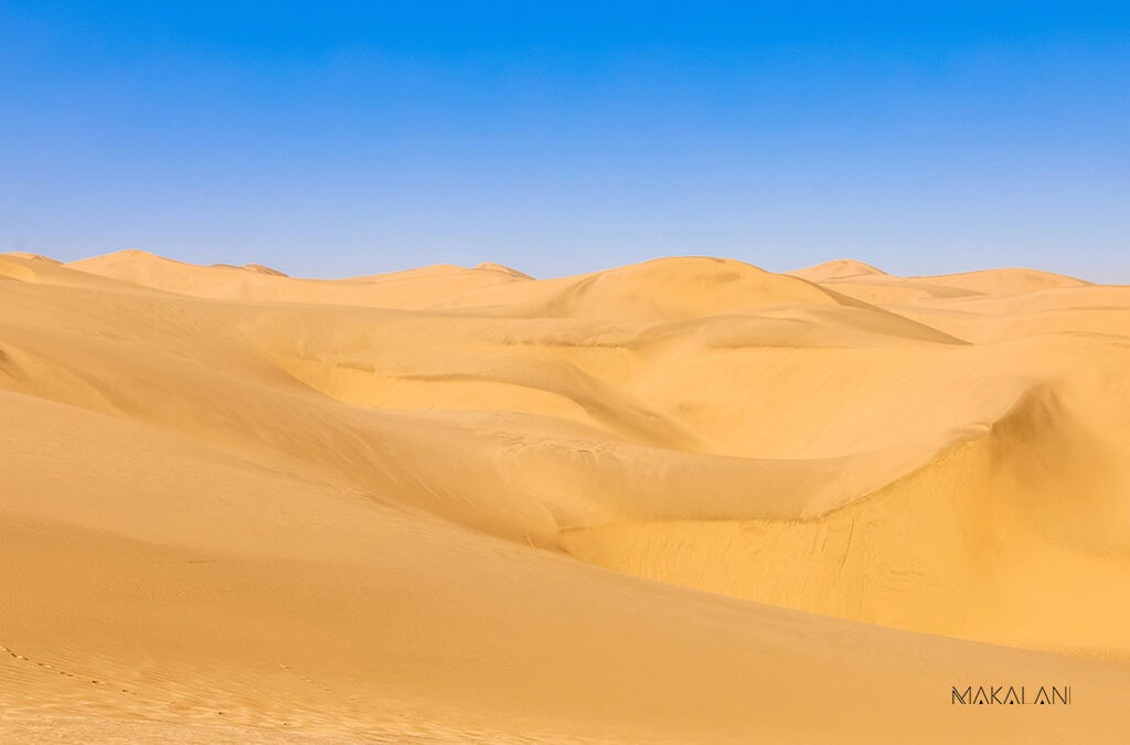 Namib Desert