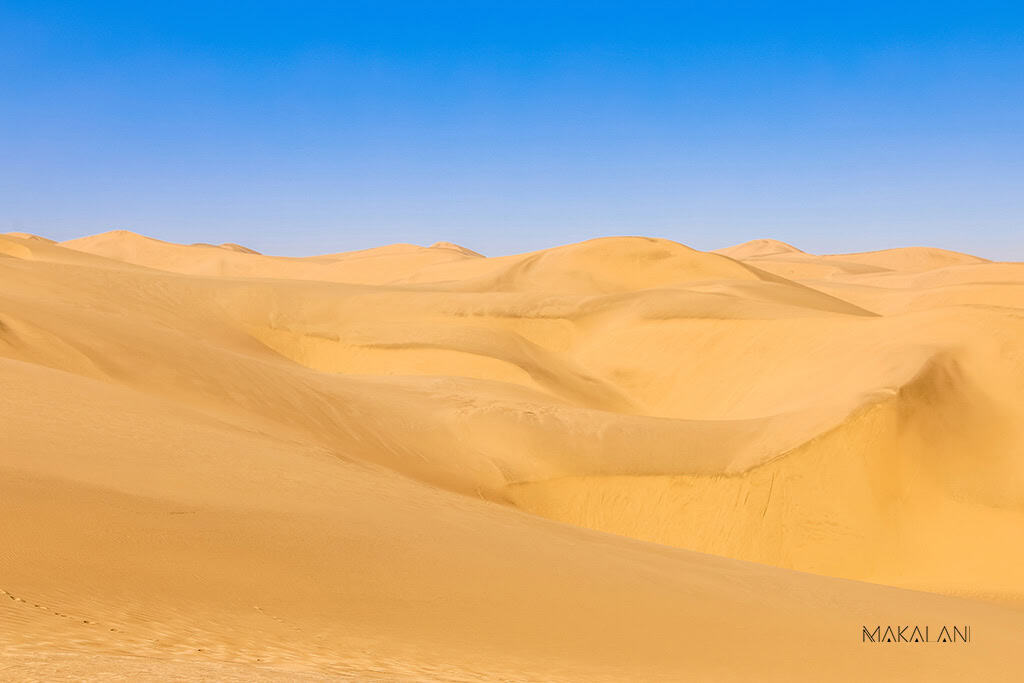 Namib Desert