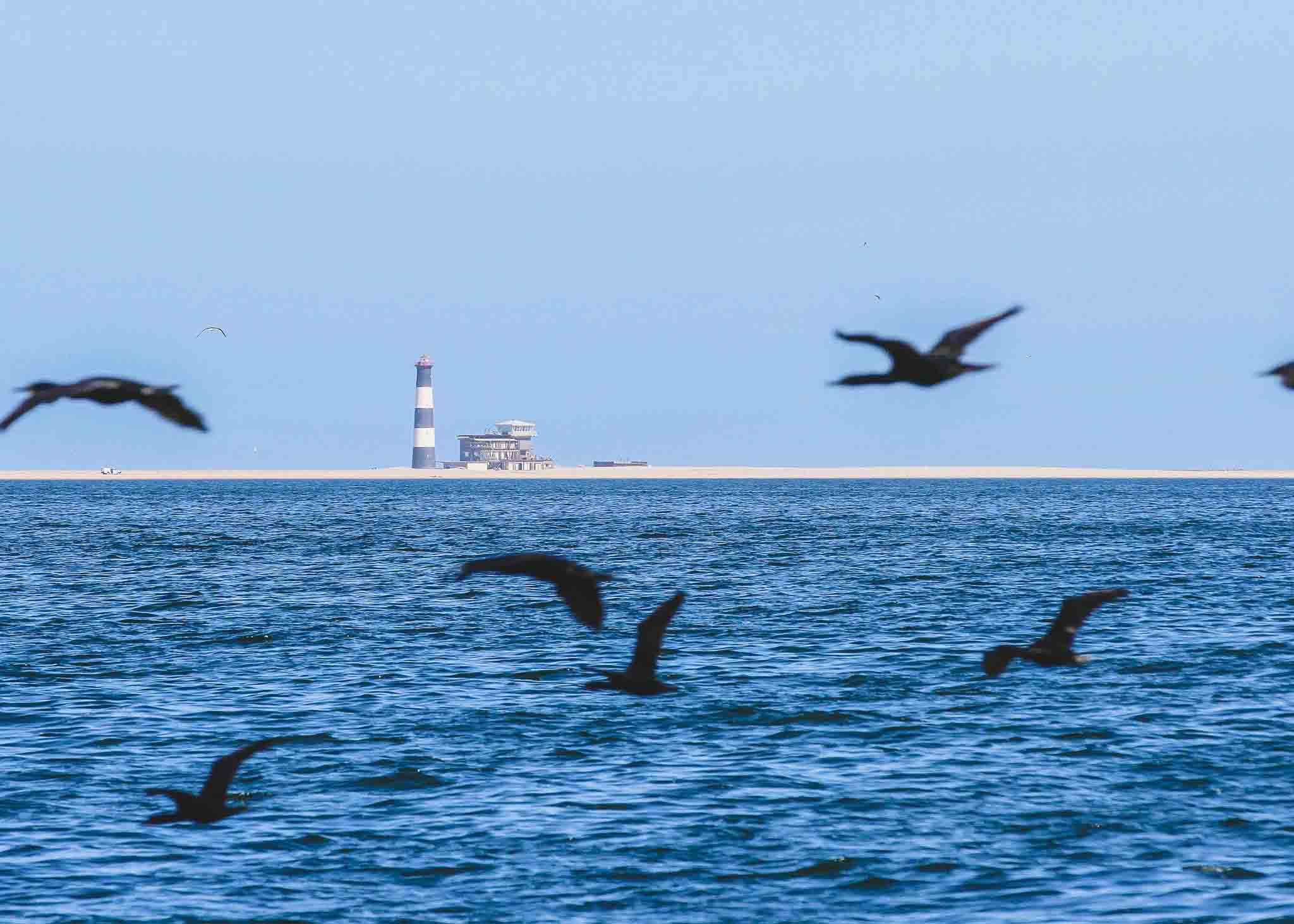Sandwich Harbour Tours - Pelican Point Sandwich Harbour Tours - Pelican Point