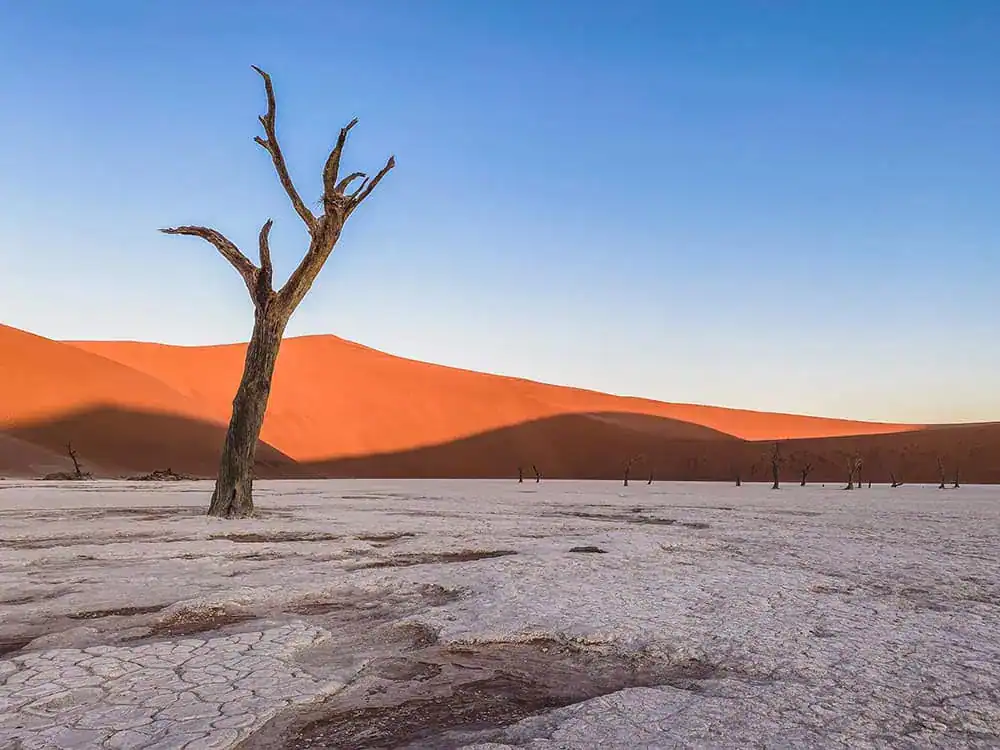 Sossusvlei Overnight Tour from Swakopmund Sossusvlei Overnight Tour from Swakopmund